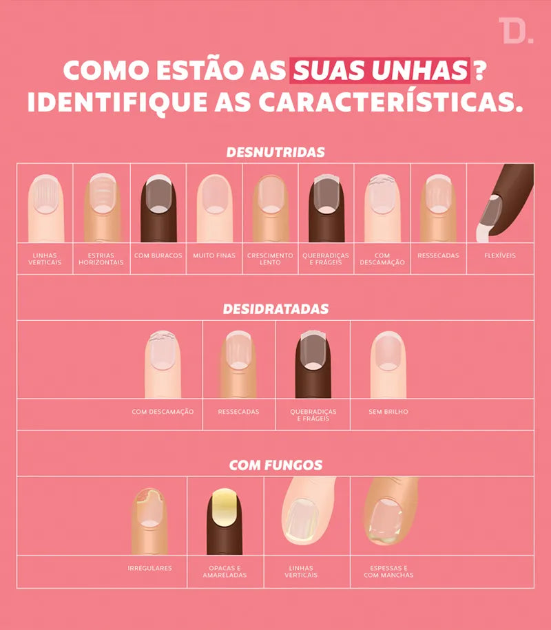 Bela E Hidratada Para Durar (Base Nutritiva)