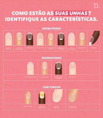 Bela E Hidratada Para Durar (Base Nutritiva)